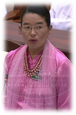 ဒေါ်နန်းဝါနု (ကွန်ဟိန်း)